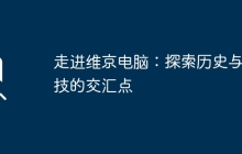 走进维京电脑：探索历史与科技的交汇点