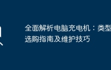 全面解析电脑充电机：类型、选购指南及维护技巧