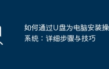 如何通过U盘为电脑安装操作系统：详细步骤与技巧