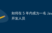 如何在 5 年内成为一名 Java 开发人员