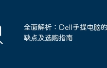 全面解析：Dell手提电脑的优缺点及选购指南