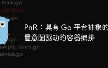 PnR：具有 Go 平台抽象的配置意图驱动的容器编排
