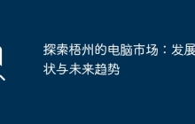 探索梧州的电脑市场：发展现状与未来趋势