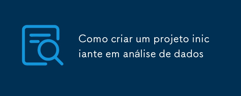 如何创建数据分析初学者项目