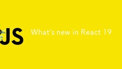 What's new in React 19