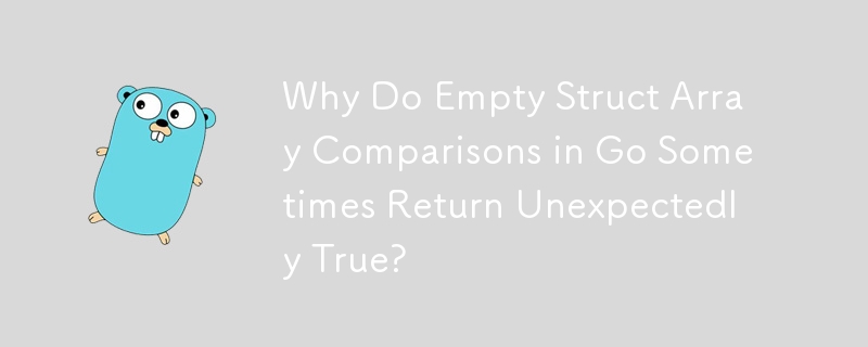 Why Do Empty Struct Array Comparisons in Go Sometimes Return Unexpectedly True?