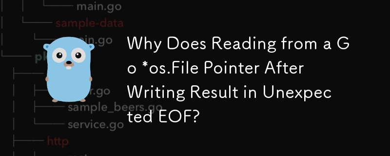 Why Does Reading from a Go *os.File Pointer After Writing Result in Unexpected EOF?