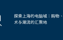 探索上海的电脑城：购物、技术与潮流的汇聚地