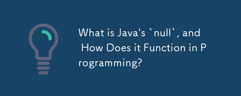 Java의 'null'은 무엇이며 프로그래밍에서 어떻게 작동합니까?