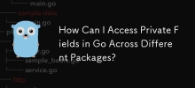 How Can I Access Private Fields in Go Across Different Packages?