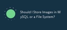 Should I Store Images in MySQL or a File System?
