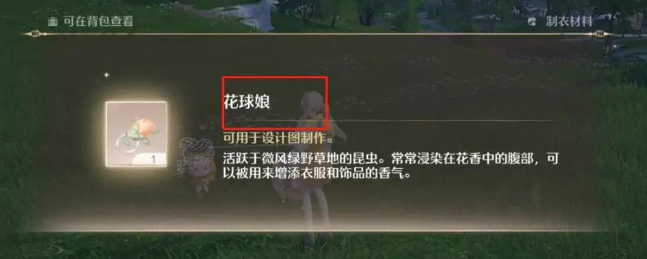 《无限暖暖》花球娘捕捉方法位置