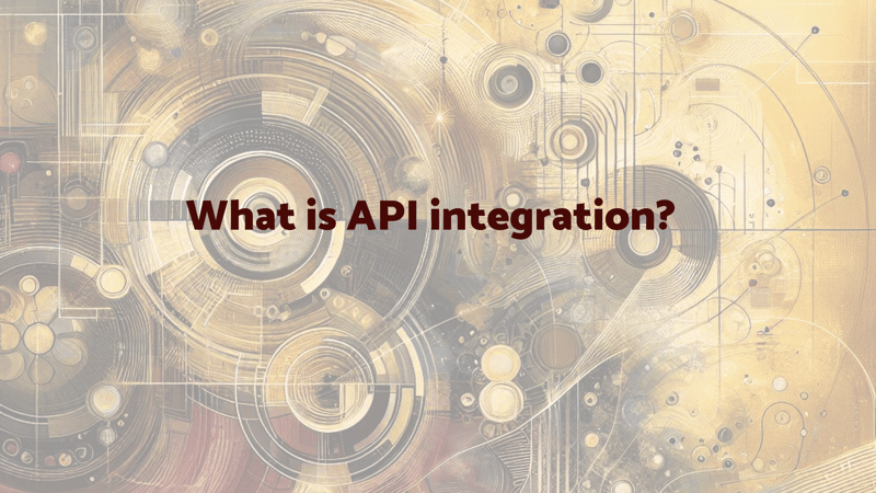 了解 api 集成