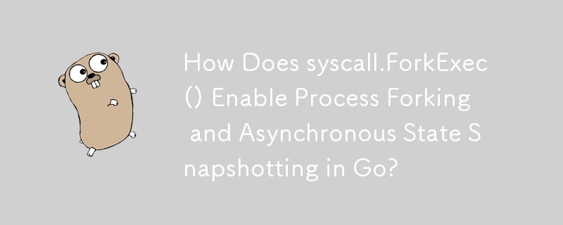 syscall.ForkExec()은 Go에서 프로세스 분기 및 비동기 상태 스냅샷을 어떻게 활성화합니까?