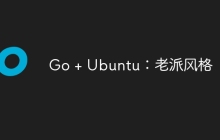 Go + Ubuntu：老派风格