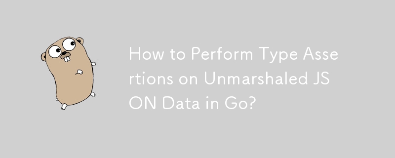 Wie führe ich Typzusicherungen für nicht gemarshaltete JSON-Daten in Go durch?