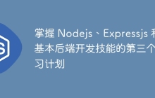 掌握 Nodejs、Expressjs 和基本后端开发技能的第三个学习计划