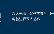 双人电脑：如何高效利用一台电脑进行双人协作
