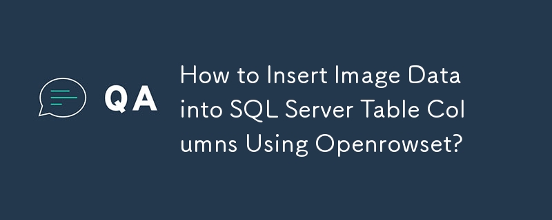 Openrowset을 사용하여 SQL Server 테이블 열에 이미지 데이터를 삽입하는 방법은 무엇입니까?