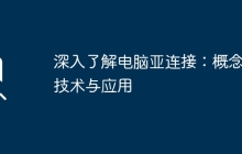 深入了解电脑亚连接：概念、技术与应用