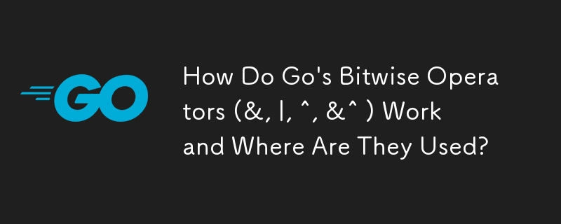 Go 的位元運算子（&、|、^、&^）如何運作以及它們在哪裡使用？