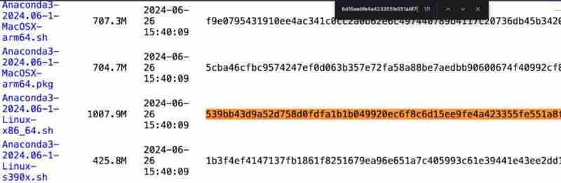 只需几分钟即可在 Ubuntu 上设置 Anaconda:简化您的 AI 工作流程