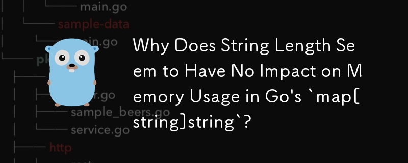 為什麼 Go 的'map[string]string”中字串長度似乎對記憶體使用沒有影響？