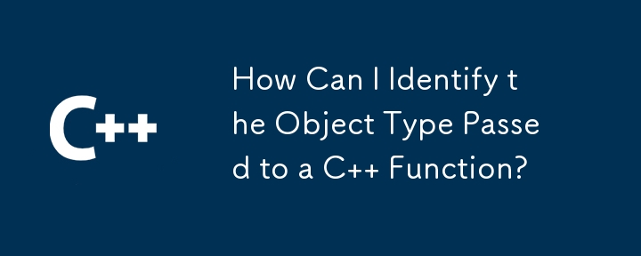 如何辨識傳遞給 C 函數的物件類型？