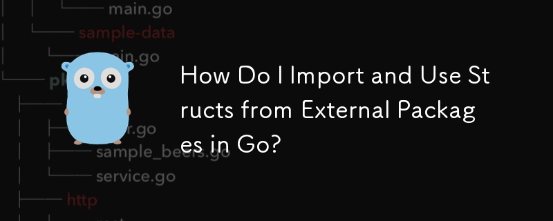 How Do I Import and Use Structs from External Packages in Go?