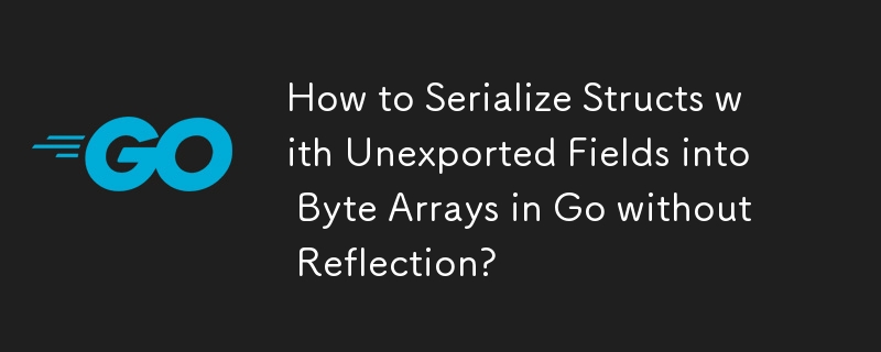 How to Serialize Structs with Unexported Fields into Byte Arrays in Go without Reflection?