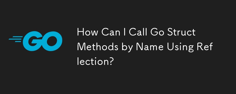 Comment puis-je appeler les méthodes Go Struct par leur nom à l'aide de Reflection ?