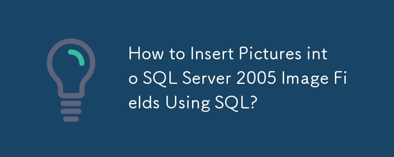 SQL을 사용하여 SQL Server 2005 이미지 필드에 그림을 삽입하는 방법은 무엇입니까?