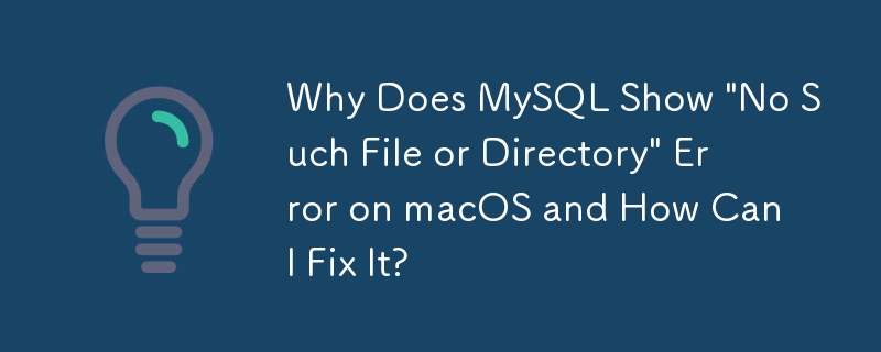 Why Does MySQL Show 'No Such File or Directory' Error on macOS and How Can I Fix It?