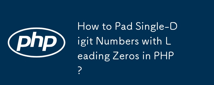 Wie fülle ich in PHP einstellige Zahlen mit führenden Nullen auf?