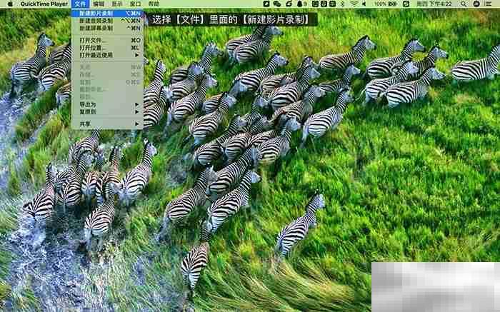 iphone投屏到mac
