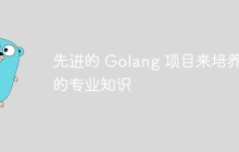 先进的 Golang 项目来培养您的专业知识
