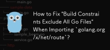 導入 `golang.org/x/net/route` 時如何修復「建置約束排除所有 Go 檔案」？