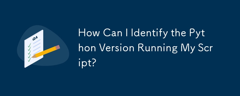 スクリプトを実行している Python のバージョンを確認するにはどうすればよいですか?