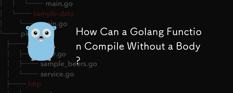 Golang 関数は本体なしでどのようにコンパイルできますか?