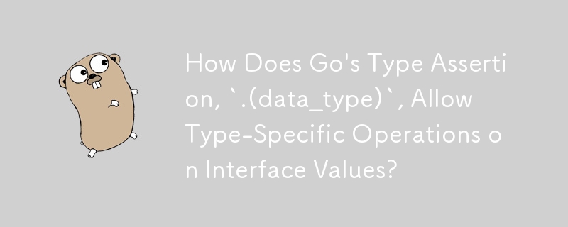 Go の型アサーション `.(data_type)` はどのようにしてインターフェイス値に対する型固有の操作を可能にするのでしょうか?