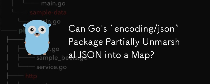 Can Go's `encoding/json` Package Partially Unmarshal JSON into a Map?