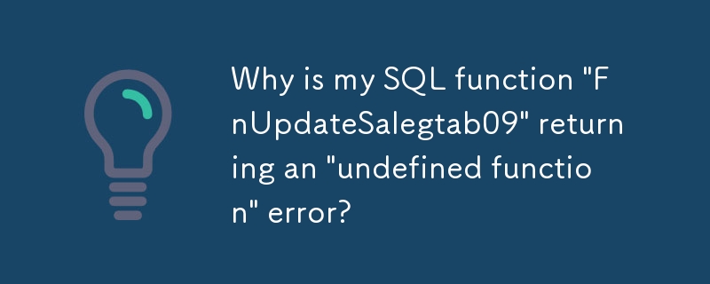 내 SQL 함수 'FnUpdateSalegtab09'가 '정의되지 않은 함수' 오류를 반환하는 이유는 무엇입니까?