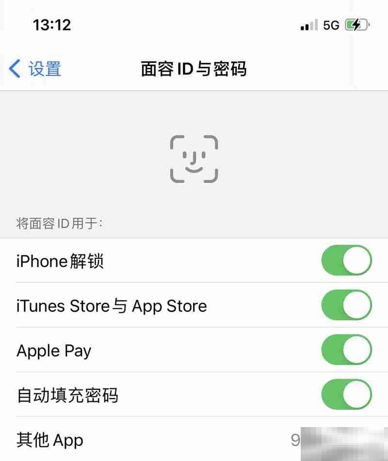 苹果13有指纹支付功能吗