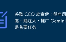 谷歌 CEO 皮查伊：明年风险高、赌注大，推广 Gemini 是首要任务