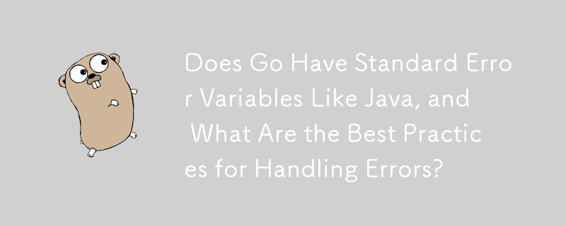 Go には Java のような標準エラー変数はありますか? エラー処理のベスト プラクティスは何ですか?