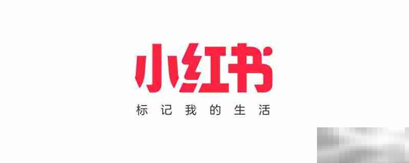 小红书怎么关闭个性化广告推荐