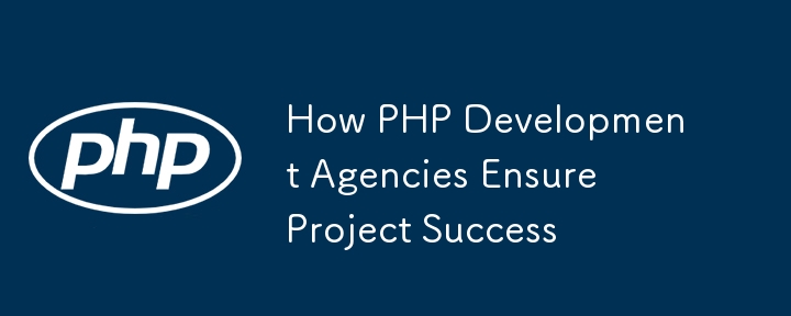 How PHP Development Agencies Ensure Project Success