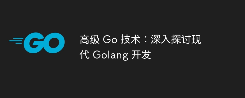 高级 go 技术：深入探讨现代 golang 开发