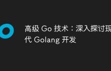 高级 Go 技术：深入探讨现代 Golang 开发