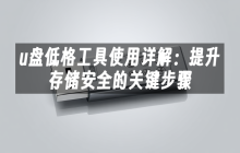 u盘低格工具使用详解：提升存储安全的关键步骤